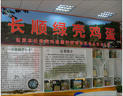 貴州長順冠羽綠殼蛋雞養殖專業合作社 貴州長順冠羽綠殼蛋雞養殖專業合作社