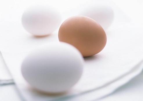 第二屆“中國蛋品加工業十大杰出青年英才”申請推薦表