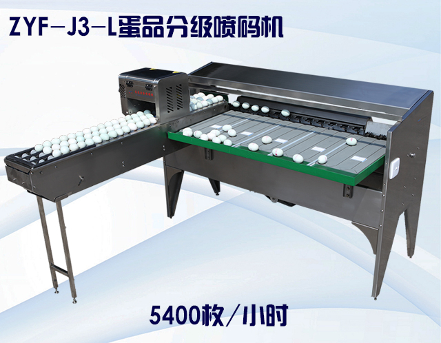 ZYF-J3-L蛋品噴碼分級(jí)機(jī).jpg