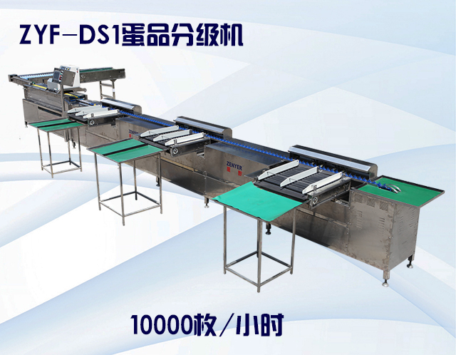 ZYF-DS1蛋品分級(jí)機(jī).jpg