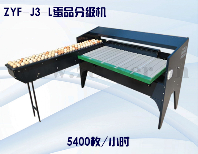 ZYF-J3-L蛋品分級(jí)機(jī)--碳鋼.jpg