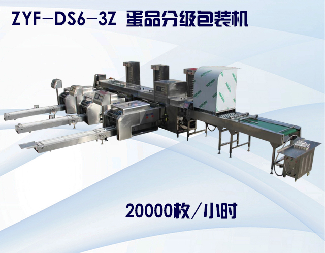 ZYF-DS6-3Z 蛋品分級(jí)包裝機(jī).jpg