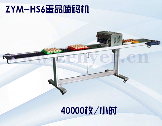 ZYM-HS6蛋品噴碼機(jī).jpg