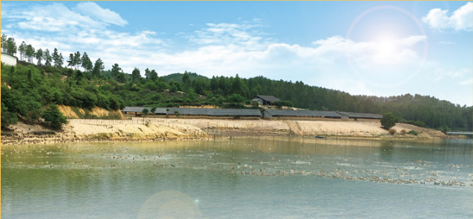 環境1.png 環境1.png