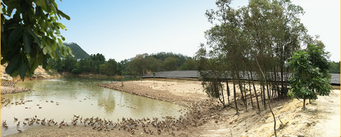 環境2.png 環境2.png