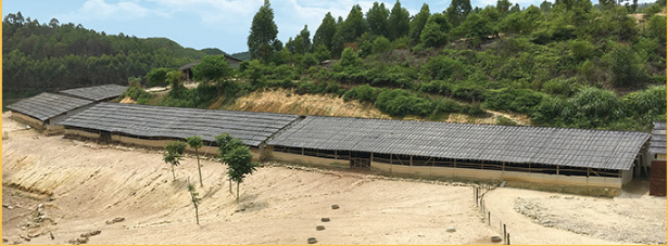 環境3.png 環境3.png