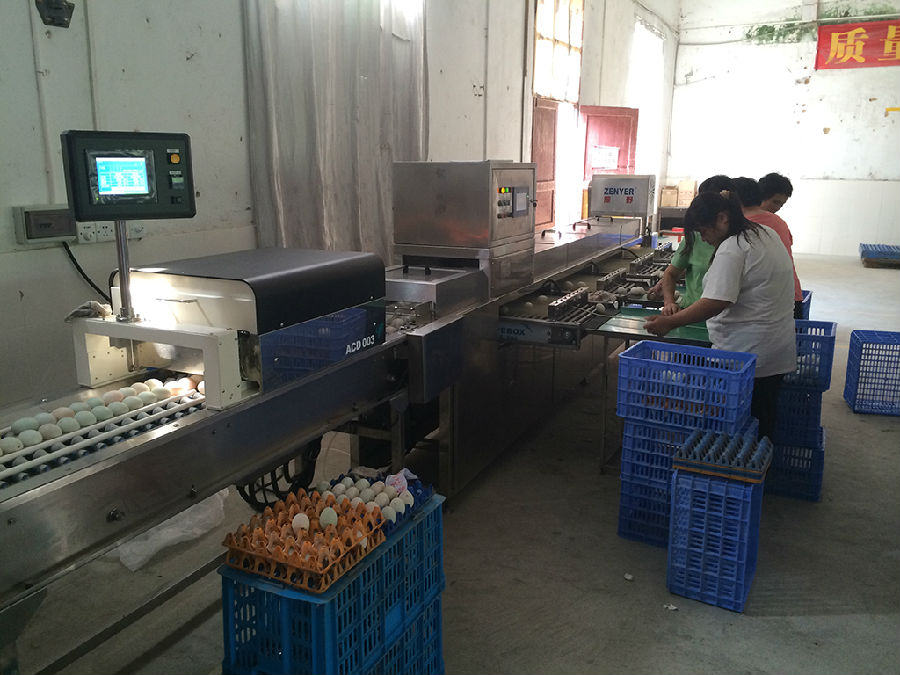 c9f00234-a983-4917-852d-76e1b3660564.jpg c9f00234-a983-4917-852d-76e1b3660564.jpg