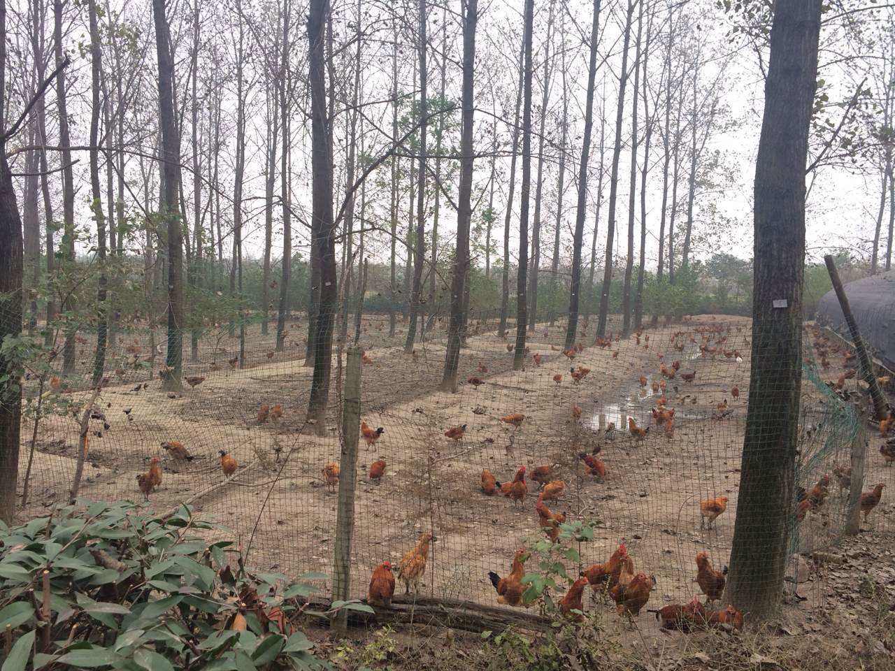 277792921523180006.jpg 277792921523180006.jpg