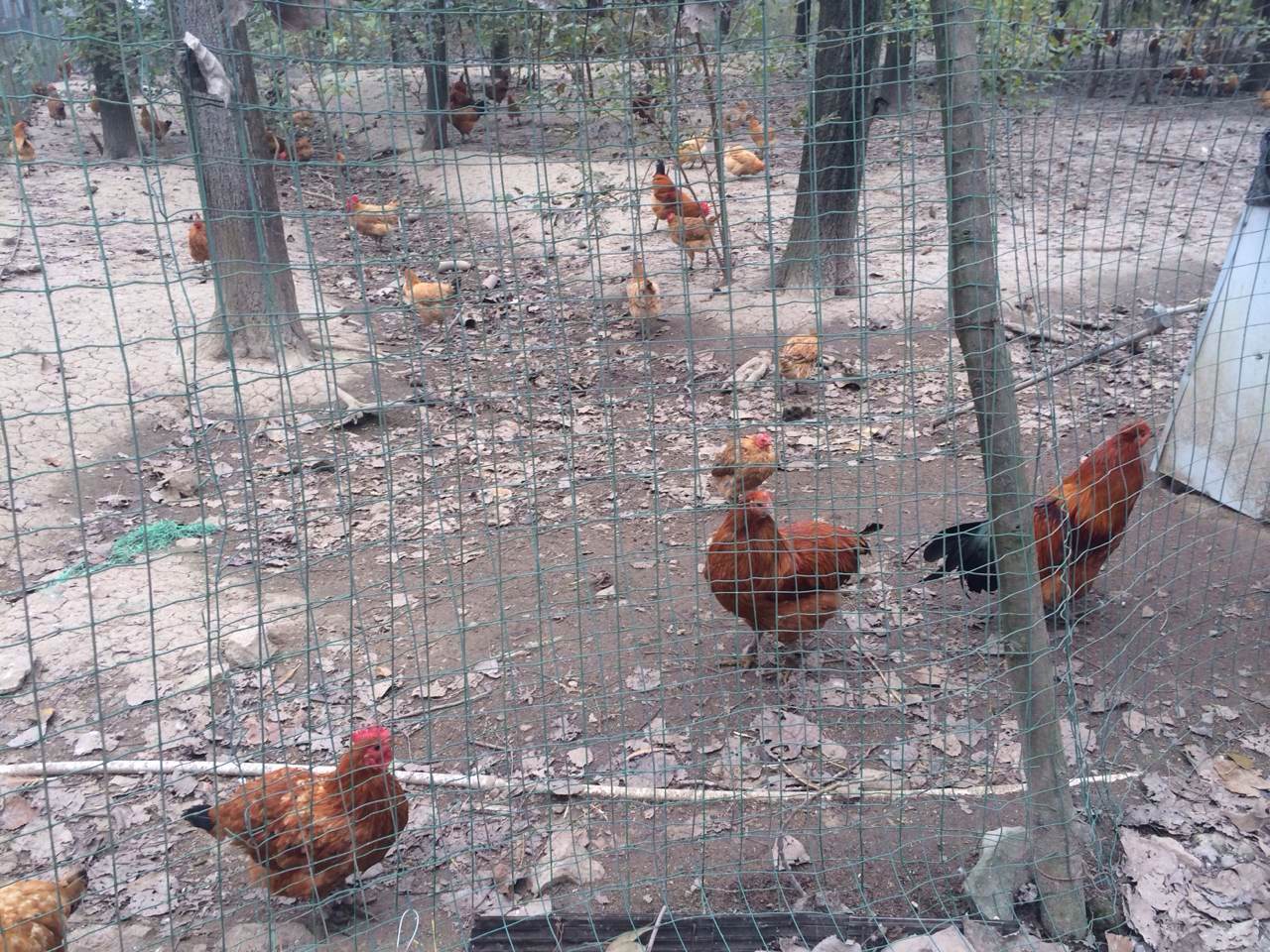 660589302416085376.jpg 660589302416085376.jpg