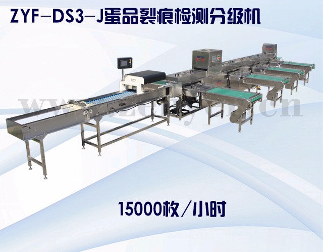 蛋品智能設備在傳統再制蛋上的應用