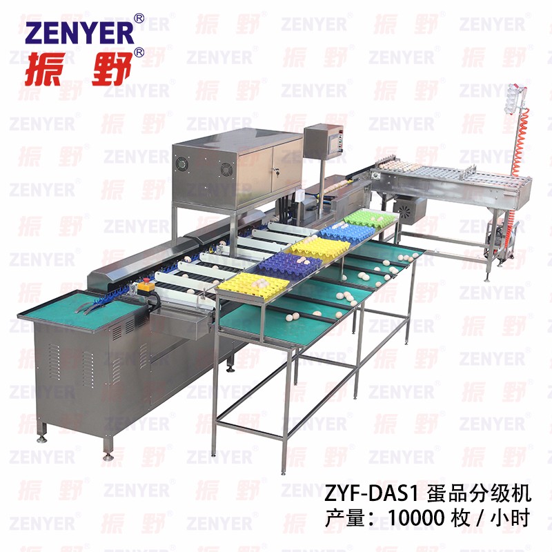 【振野產品推薦】ZYF-DAS1蛋品分級機