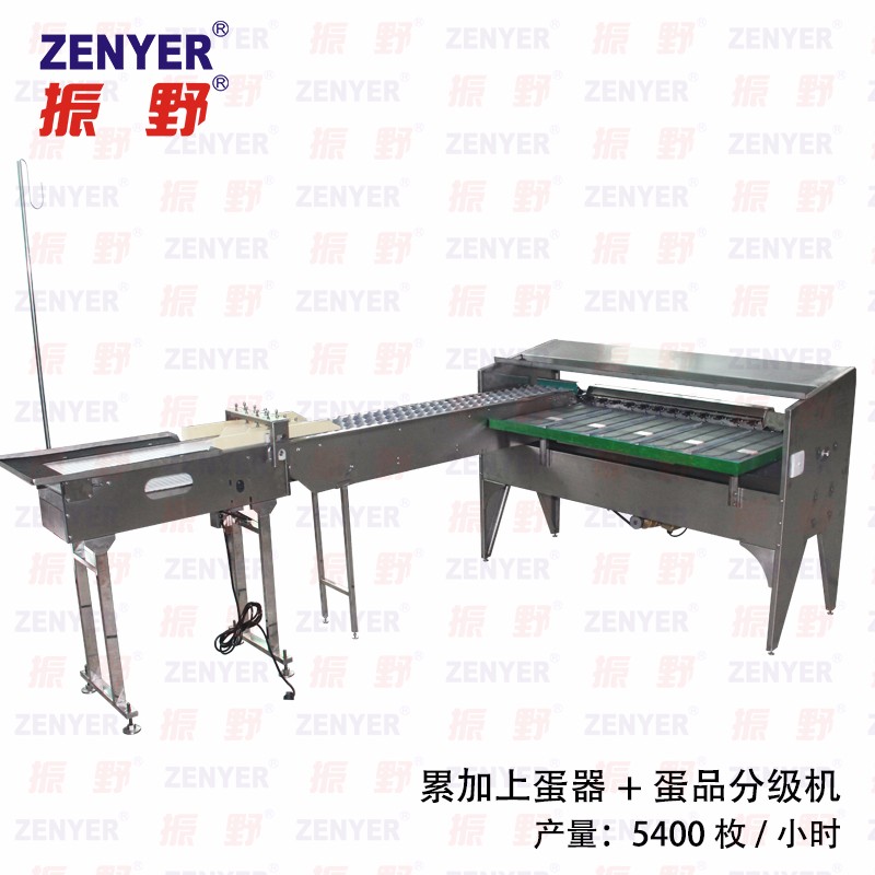 【振野產品推薦】ZYF-JS3-L蛋品分級機