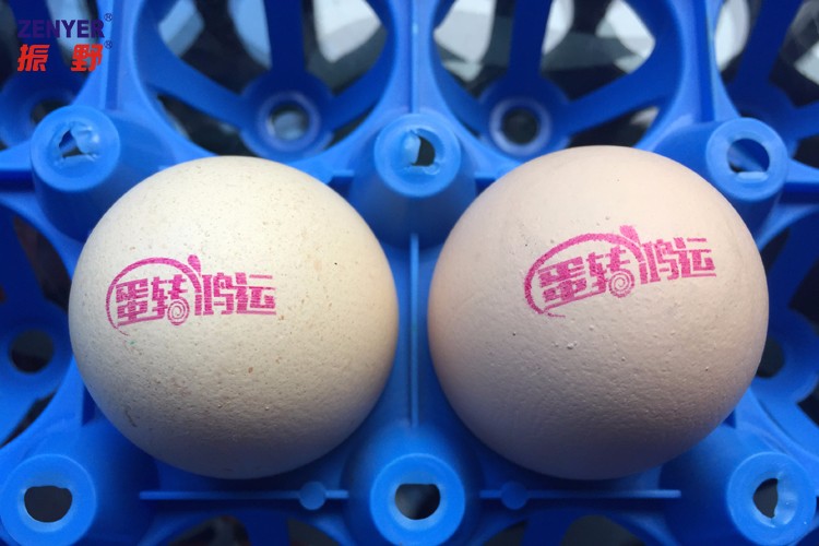 【振野產品推薦】高解析整盤蛋品噴碼機