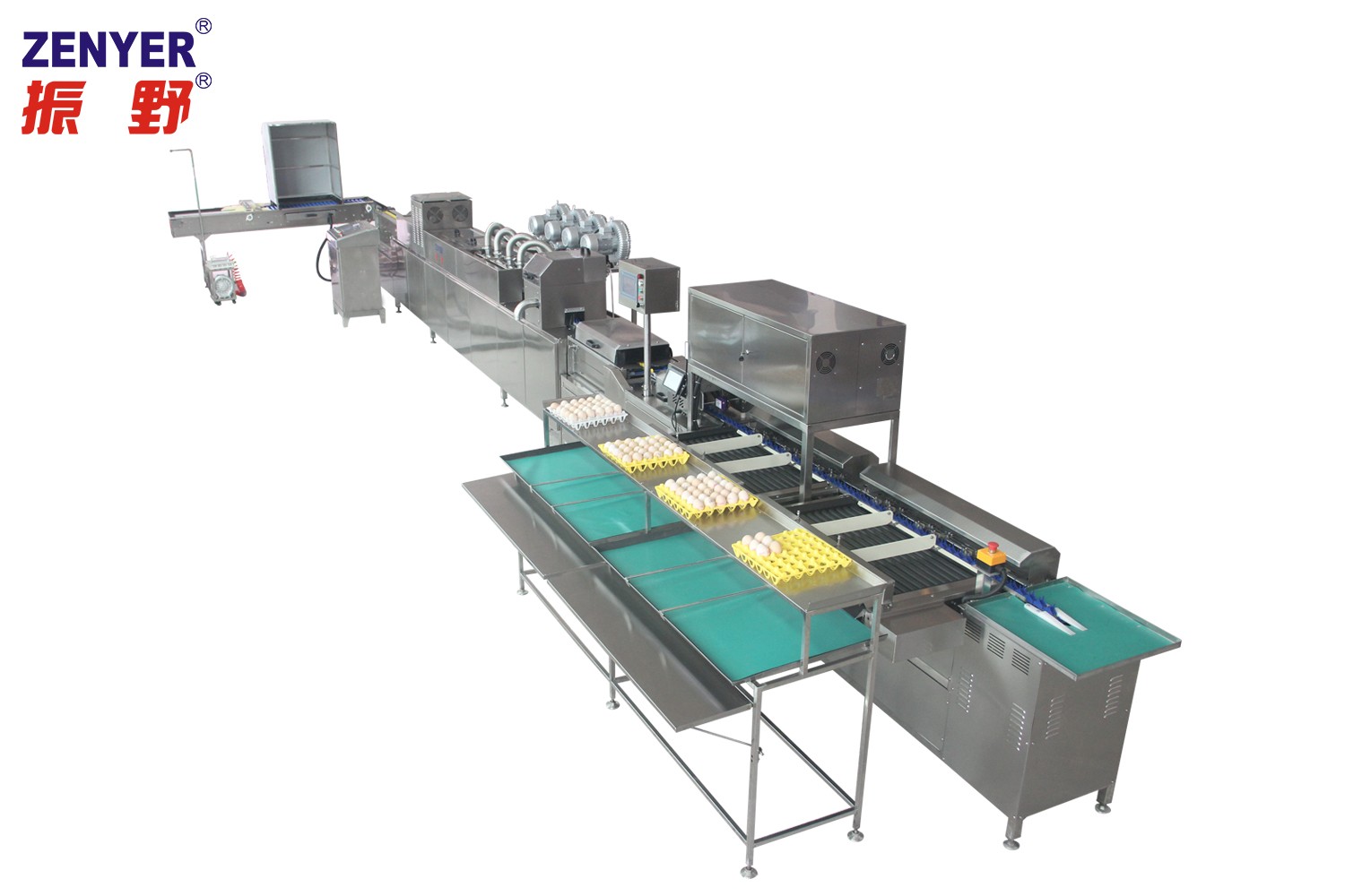 【振野產品推薦】ZYL-JS1-D1-C潔蛋生產線