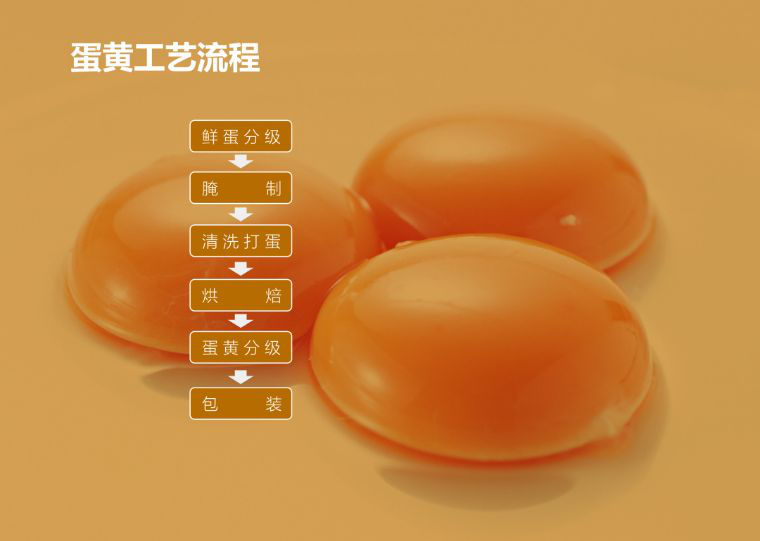 【振野產品推薦】蛋黃清洗烘干分級設備