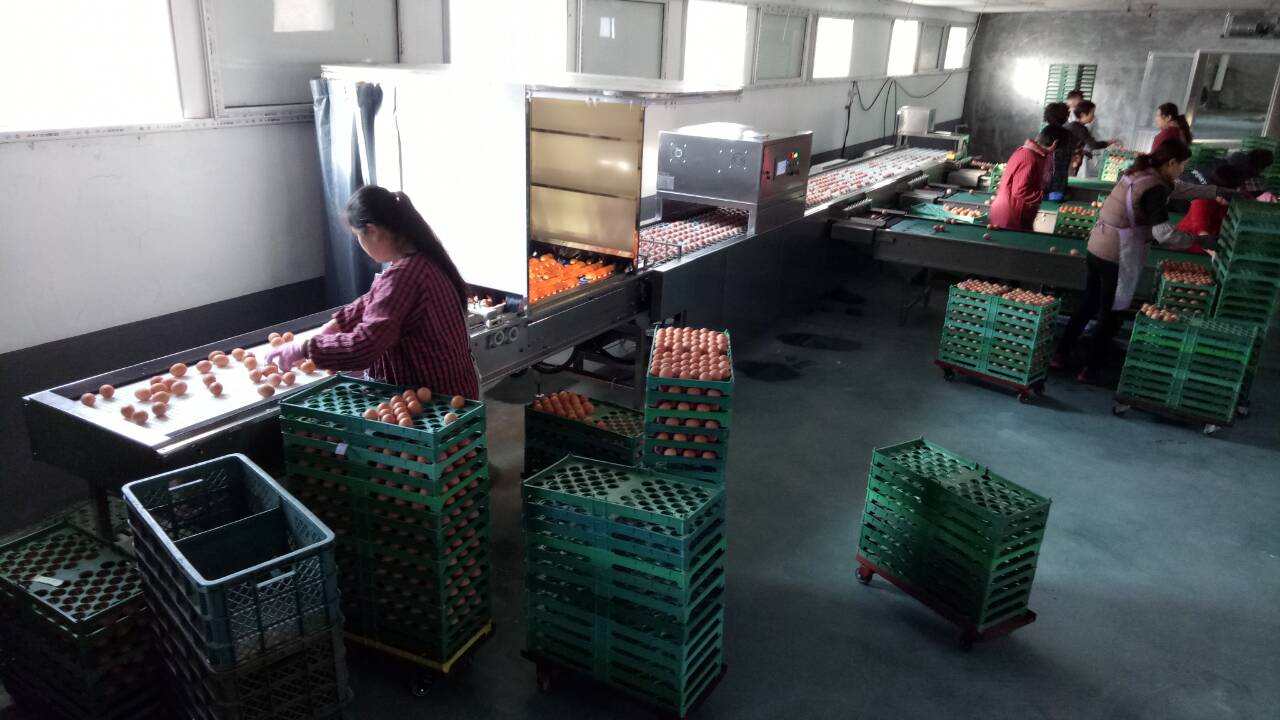 振野電子分級機之山東龍口于高使用現場