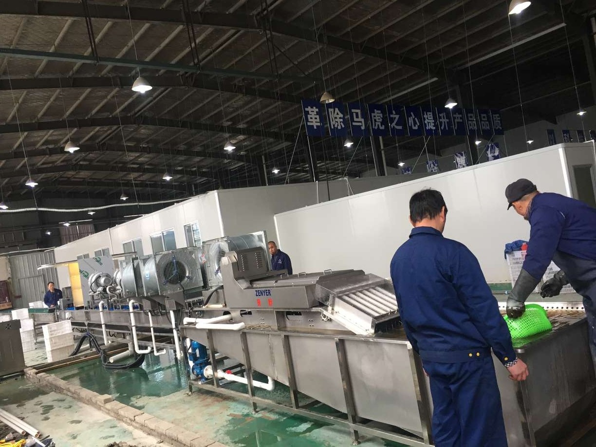 振野皮蛋清洗機之安徽九只鴨使用現場