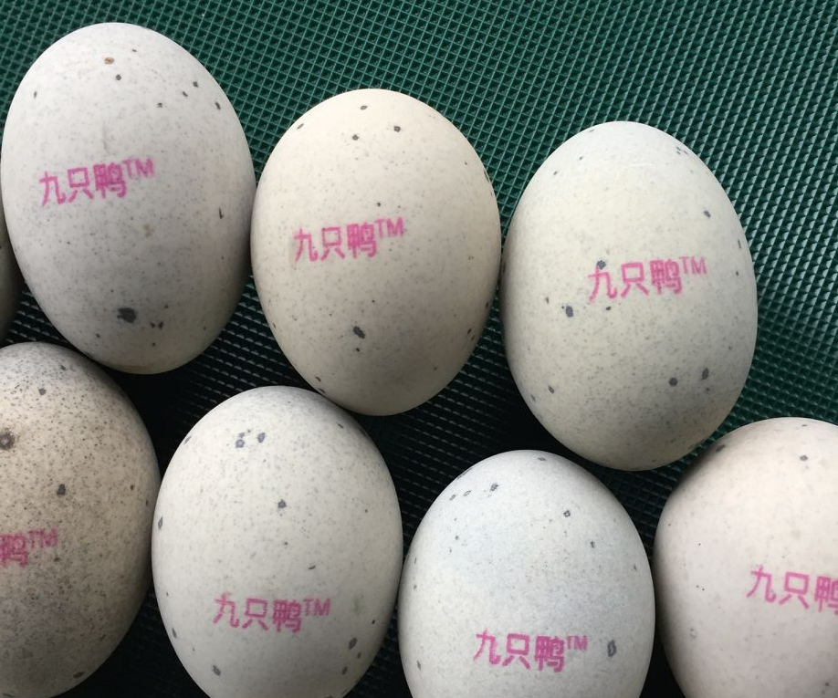 QQ圖片20191125191221.jpg QQ圖片20191125191221.jpg