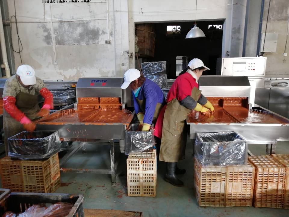 振野裂痕檢測分級機之公安藕池使用現場