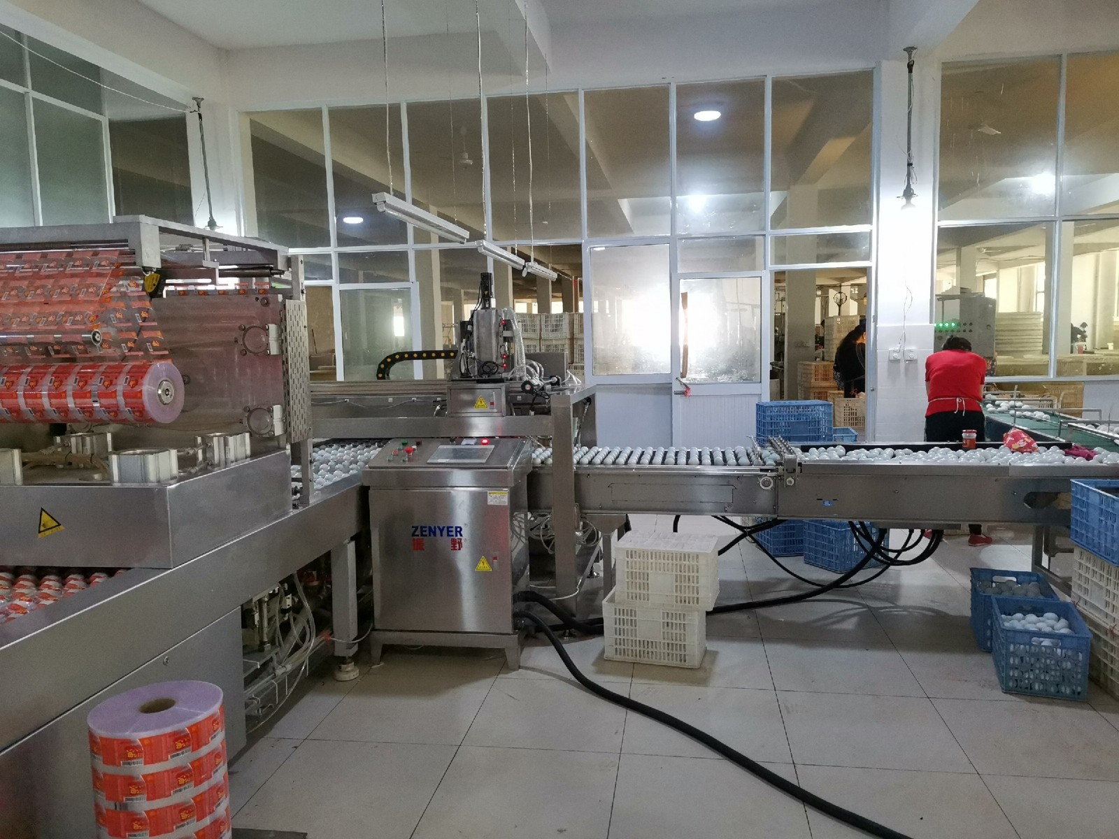 振野機械手上蛋機之高郵郵星使用現場